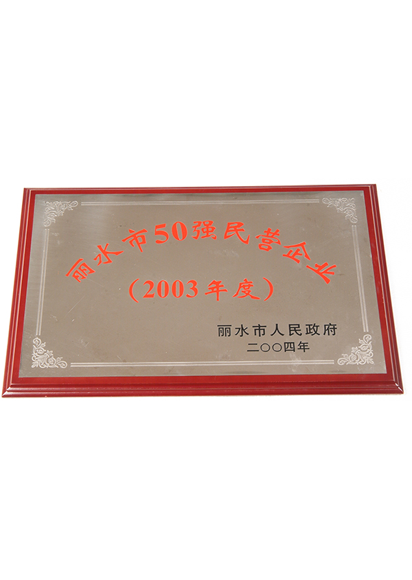 麗水市50強(qiáng)企業(yè)